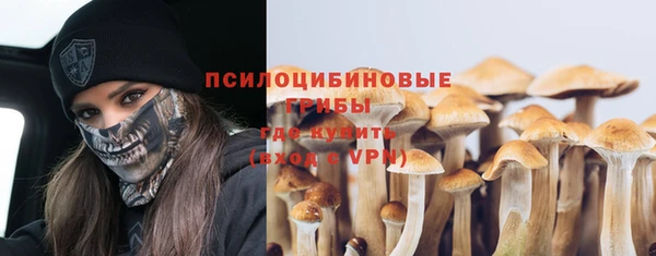 a pvp Дмитров