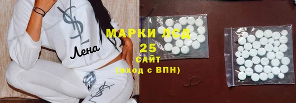 мдпв Новозыбков