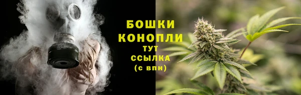 молекула духа Нягань