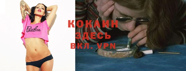 Альфа ПВП Дмитриев