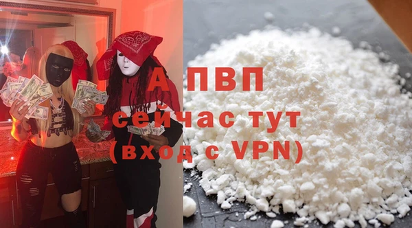 мдпв Новозыбков