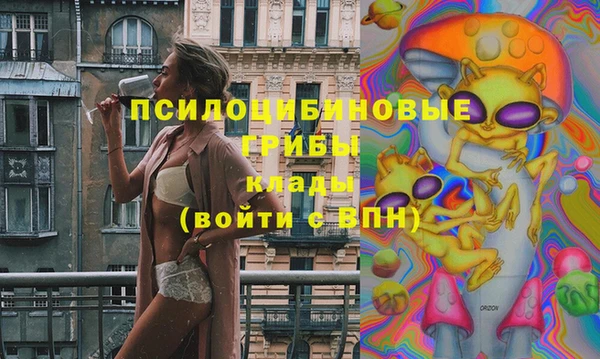 тгк Новодвинск