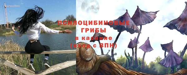 Альфа ПВП Дмитриев