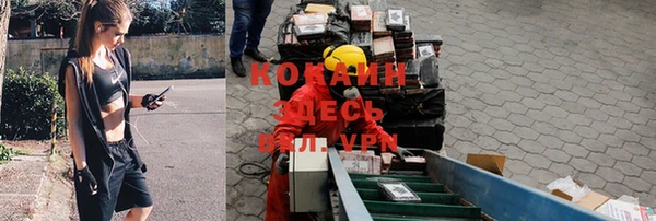 молекула духа Нягань