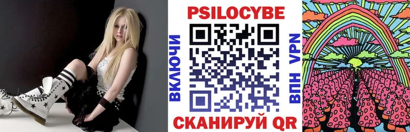 Псилоцибиновые грибы Psilocybe  наркота  Перевоз 